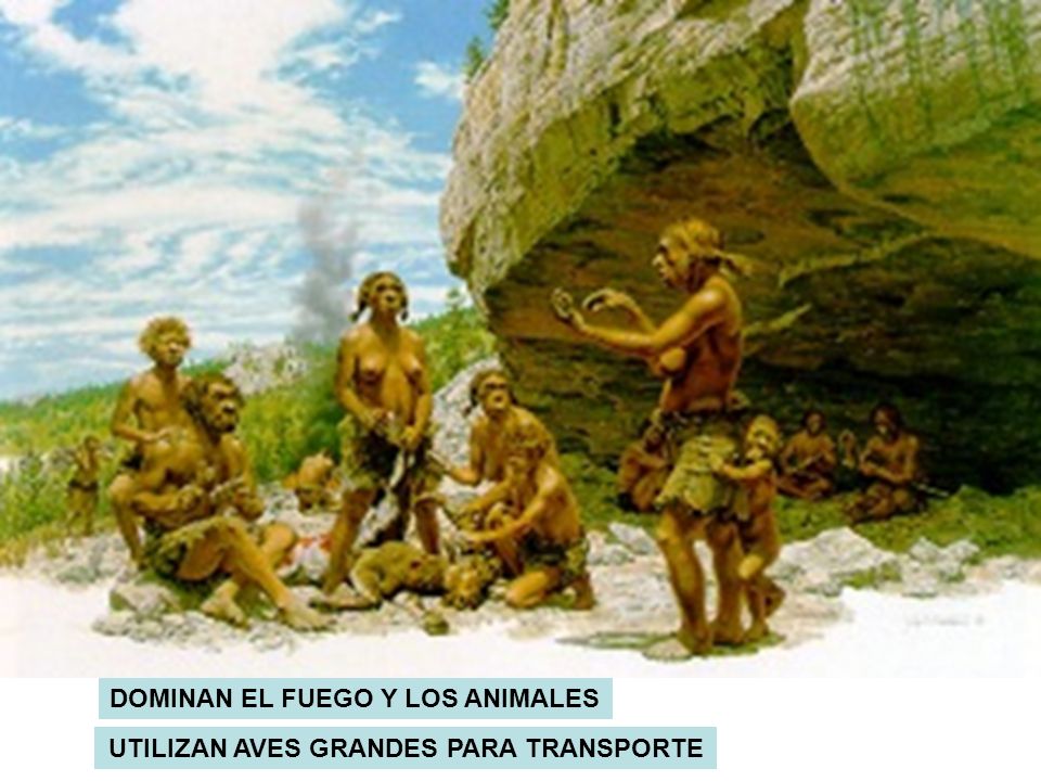 DOMINAN EL FUEGO Y LOS ANIMALES UTILIZAN AVES GRANDES PARA TRANSPORTE