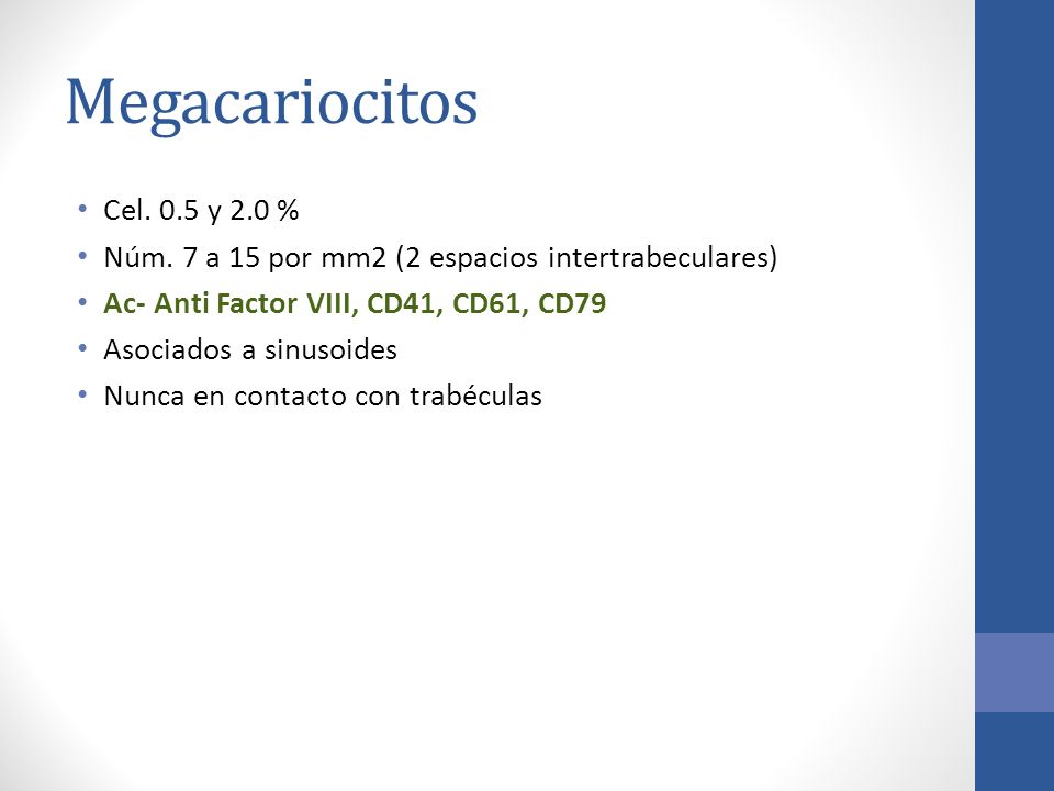 Megacariocitos Cel. 0.5 y 2.0 % Núm. 7 a 15 por mm2 (2 espacios intertrabeculares) Ac- Anti Factor VIII, CD41, CD61, CD79.