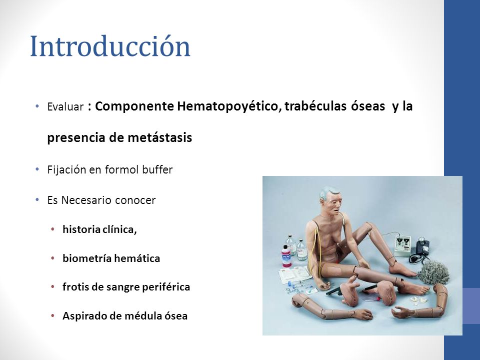 Introducción Evaluar : Componente Hematopoyético, trabéculas óseas y la presencia de metástasis. Fijación en formol buffer.