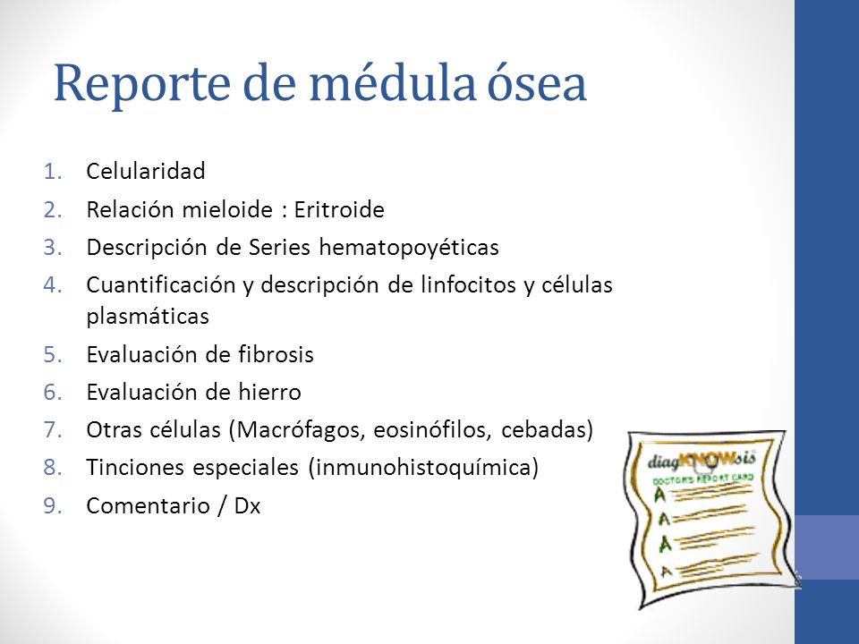 Reporte de médula ósea Celularidad Relación mieloide : Eritroide