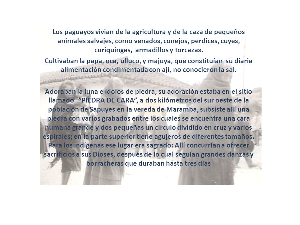 Los paguayos vivian de la agricultura y de la caza de pequeños animales salvajes, como venados, conejos, perdices, cuyes, curiquingas, armadillos y torcazas.
