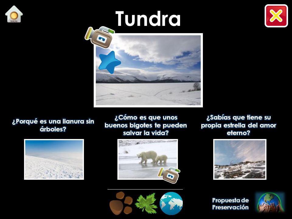 Tundra ¿Porqué es una llanura sin árboles