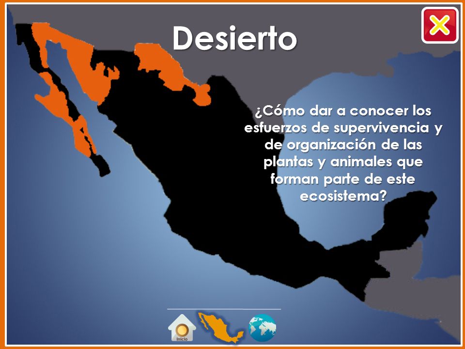 Desierto ¿Cómo dar a conocer los esfuerzos de supervivencia y de organización de las plantas y animales que forman parte de este ecosistema