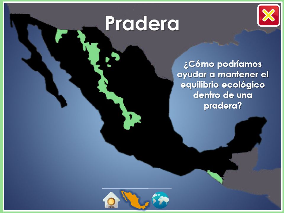 Pradera ¿Cómo podríamos ayudar a mantener el equilibrio ecológico dentro de una pradera