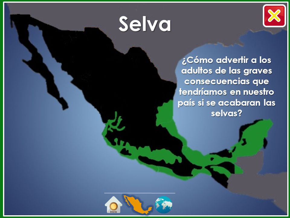 Selva ¿Cómo advertir a los adultos de las graves consecuencias que tendríamos en nuestro país si se acabaran las selvas