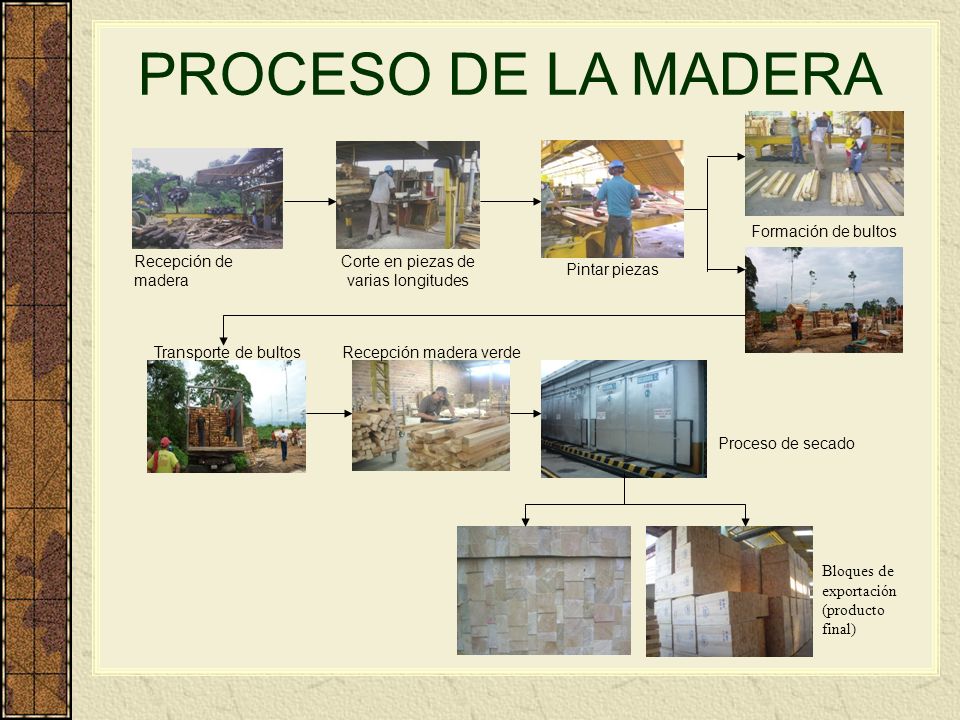 PROCESO DE LA MADERA Formación de bultos Recepción de madera