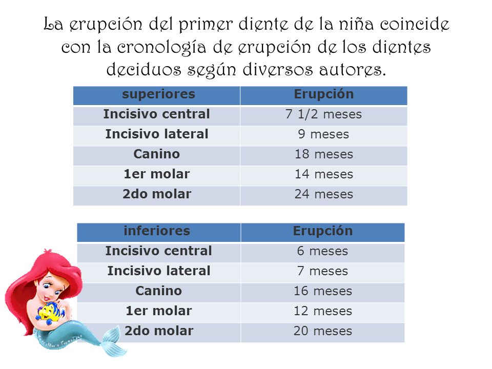La erupción del primer diente de la niña coincide con la cronología de erupción de los dientes deciduos según diversos autores.