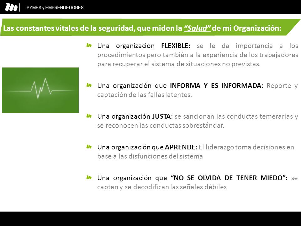 PYMES y EMPRENDEDORES Las constantes vitales de la seguridad, que miden la Salud de mi Organización: