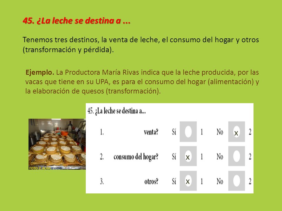 45. ¿La leche se destina a ... x x x