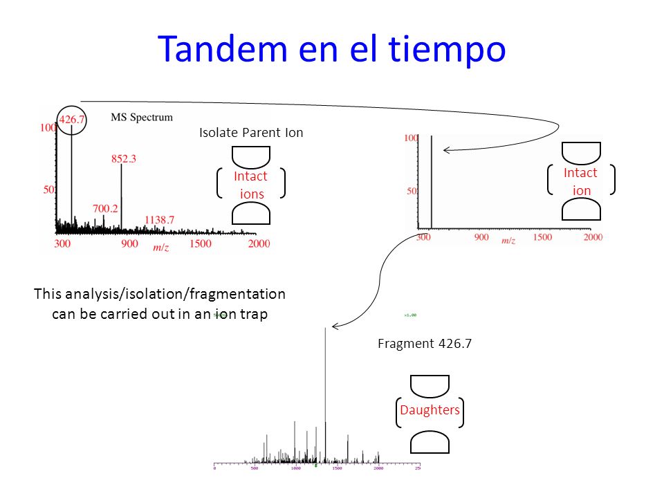 Tandem en el tiempo Isolate Parent Ion. Intact ions. Intact ion. This analysis/isolation/fragmentation can be carried out in an ion trap.