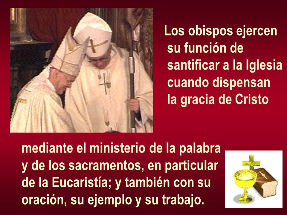 Los obispos ejercen su función de. santificar a la Iglesia. cuando dispensan. la gracia de Cristo.