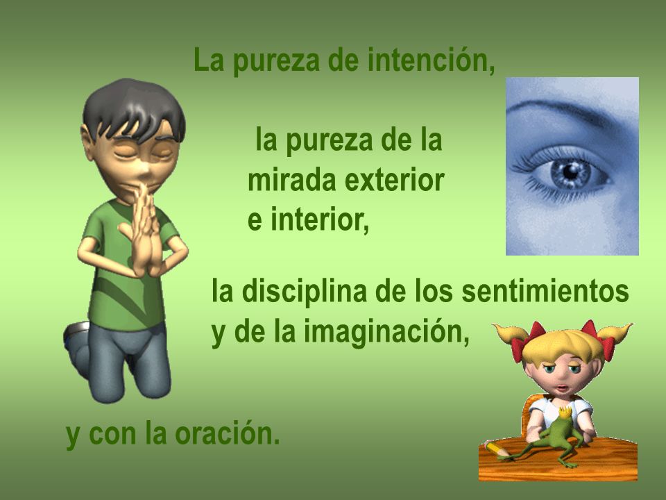 La pureza de intención, la pureza de la. mirada exterior. e interior, la disciplina de los sentimientos.