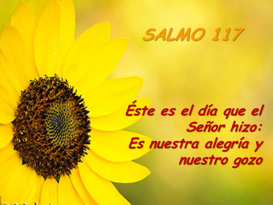 SALMO 117 Éste es el día que el Señor hizo: