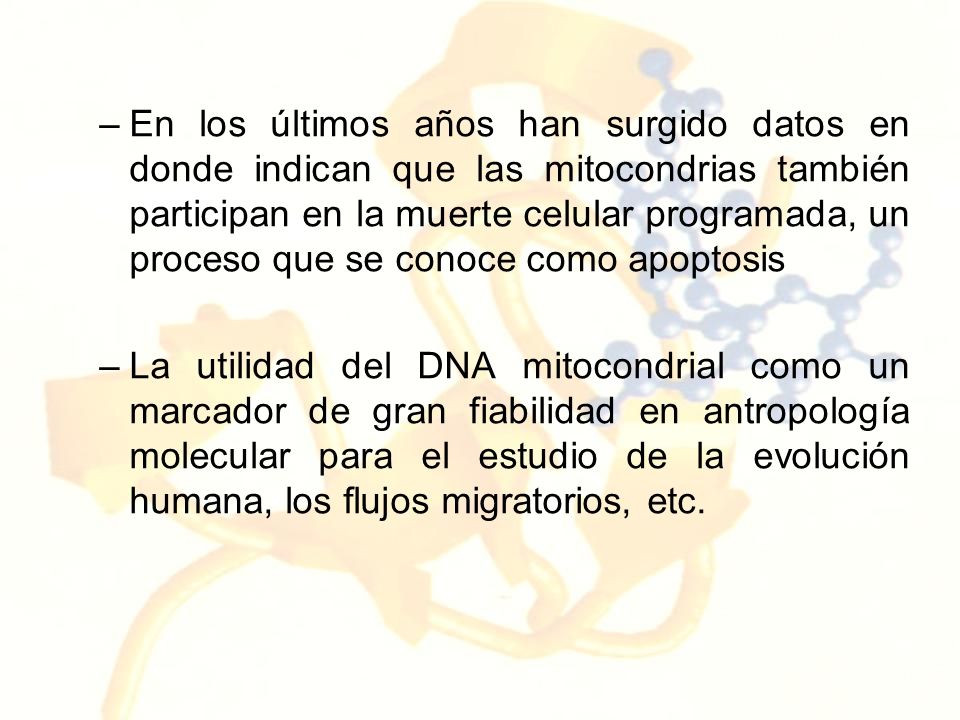 En los últimos años han surgido datos en donde indican que las mitocondrias también participan en la muerte celular programada, un proceso que se conoce como apoptosis