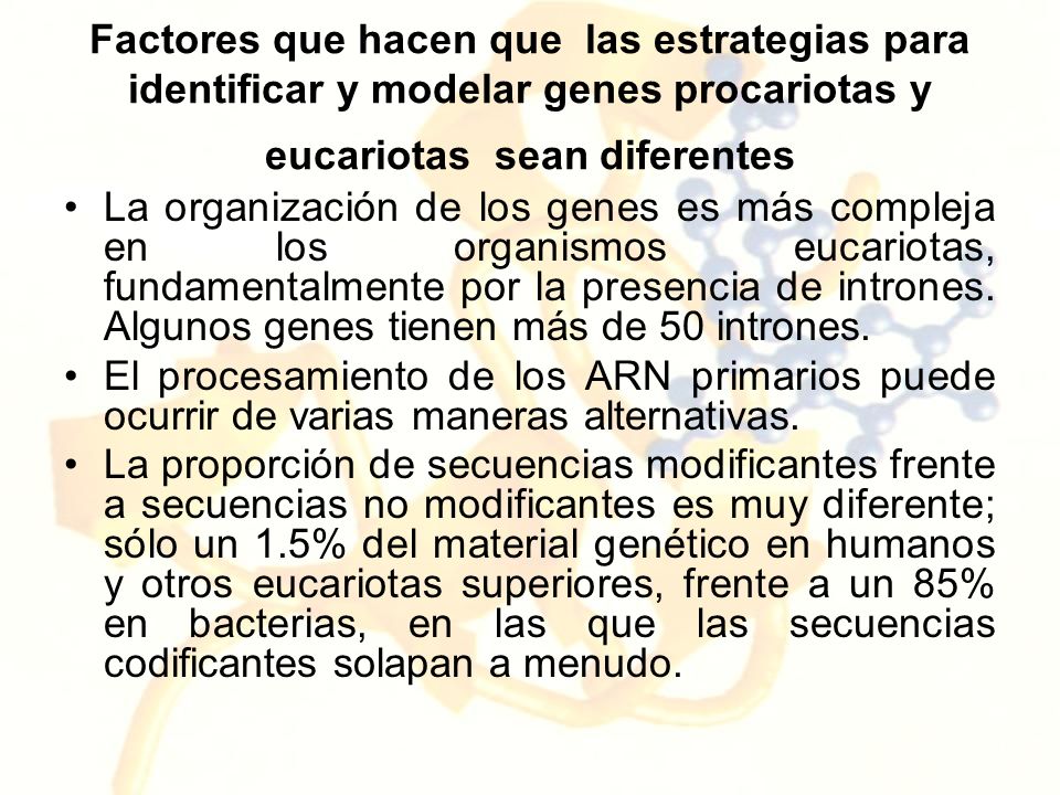 Factores que hacen que las estrategias para identificar y modelar genes procariotas y eucariotas sean diferentes
