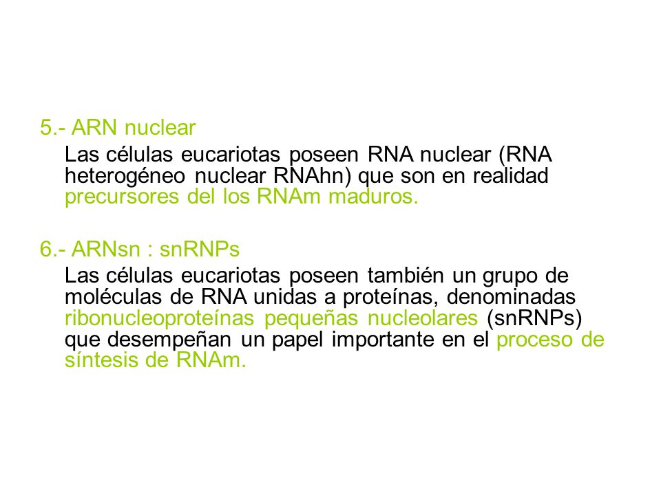 5.- ARN nuclear Las células eucariotas poseen RNA nuclear (RNA heterogéneo nuclear RNAhn) que son en realidad precursores del los RNAm maduros.