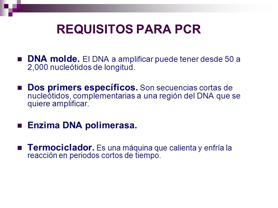 REQUISITOS PARA PCR DNA molde. El DNA a amplificar puede tener desde 50 a 2,000 nucleótidos de longitud.