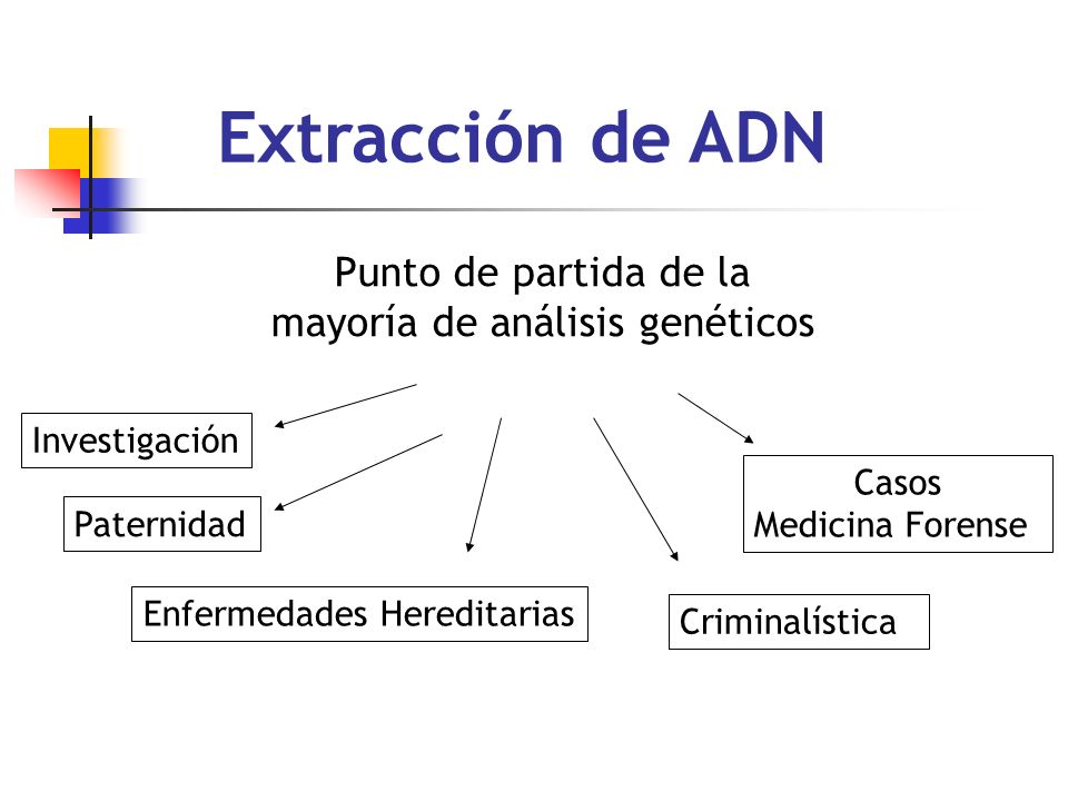 Extracción de ADN Punto de partida de la mayoría de análisis genéticos