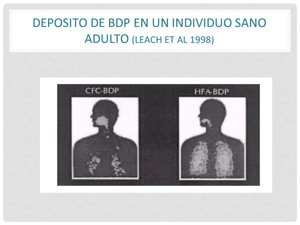 Deposito de BDP en un individuo sano adulto (Leach et al 1998)
