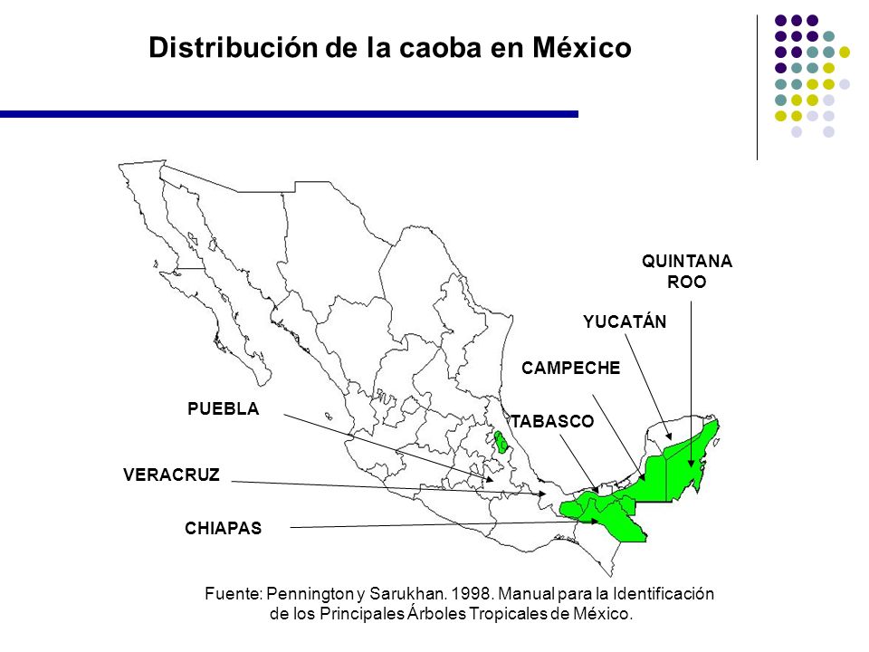 Distribución de la caoba en México