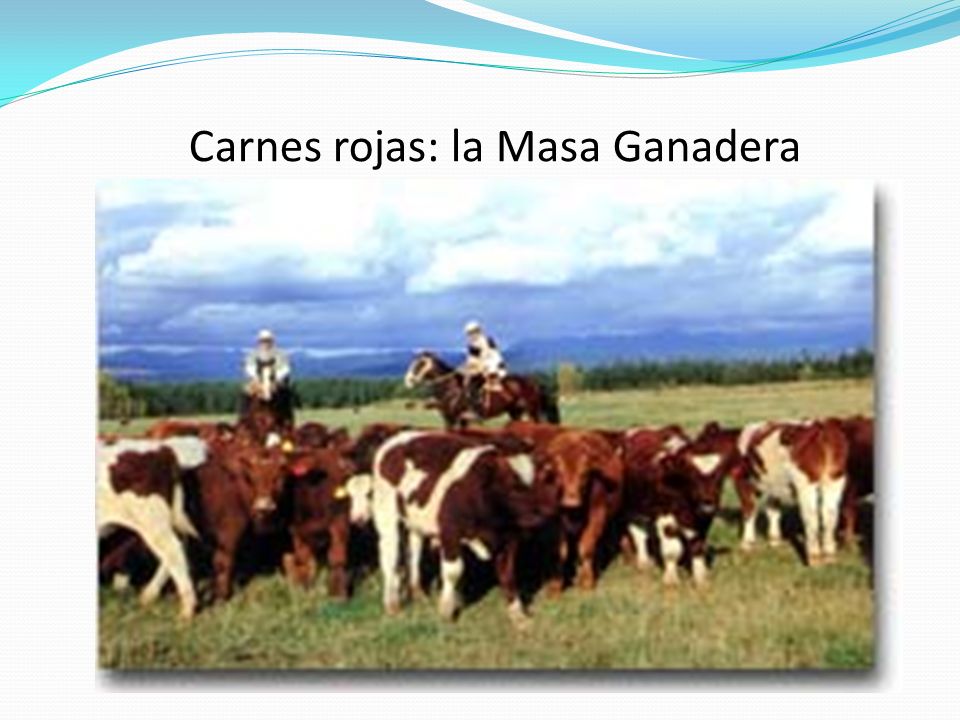 Carnes rojas: la Masa Ganadera