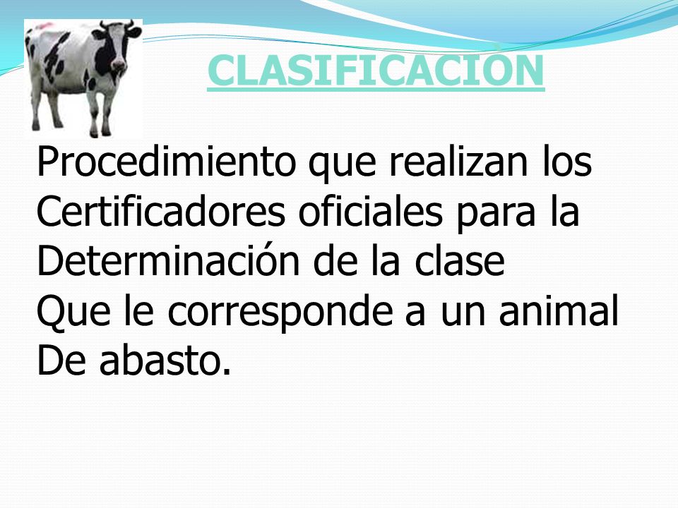 CLASIFICACIÒN Procedimiento que realizan los. Certificadores oficiales para la. Determinación de la clase.