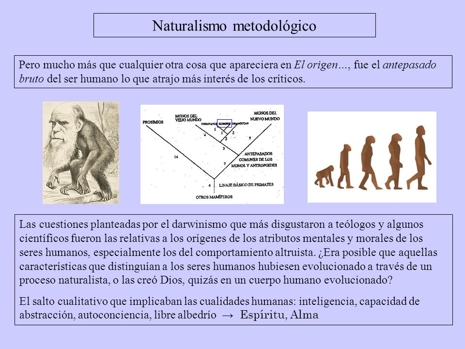 Biología Evolutiva y Sociedad - ppt descargar