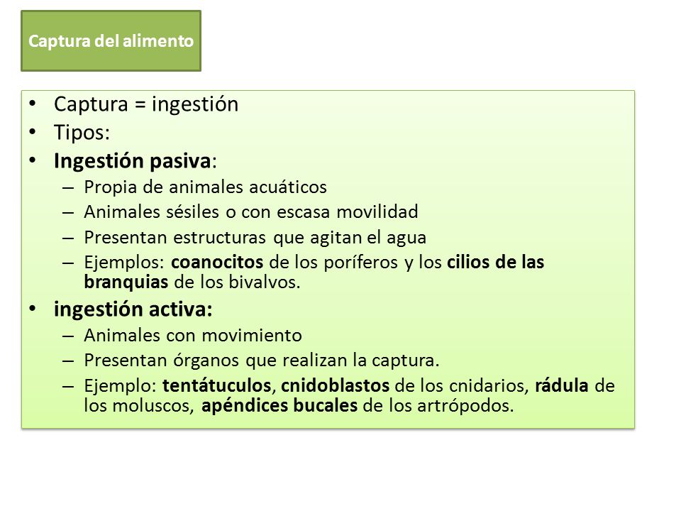 Captura = ingestión Tipos: Ingestión pasiva: ingestión activa: