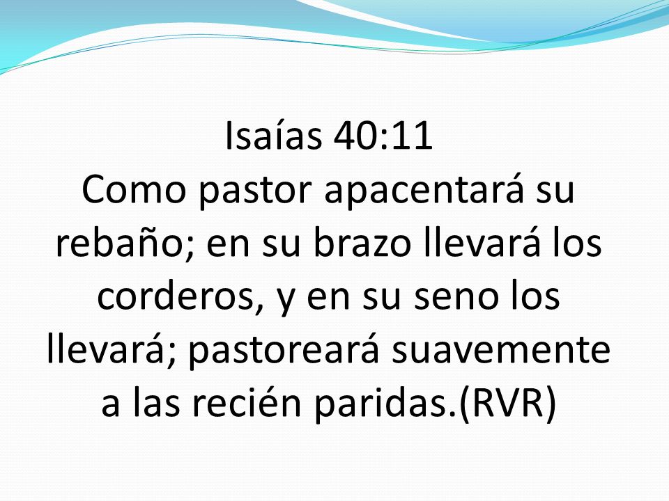 Isaías 40:11 Como pastor apacentará su rebaño; en su brazo llevará los corderos, y en su seno los llevará; pastoreará suavemente a las recién paridas.(RVR)