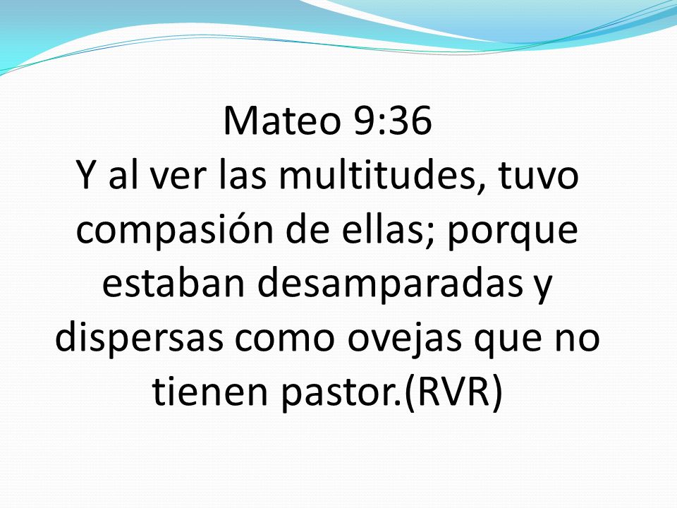 Mateo 9:36 Y al ver las multitudes, tuvo compasión de ellas; porque estaban desamparadas y dispersas como ovejas que no tienen pastor.(RVR)