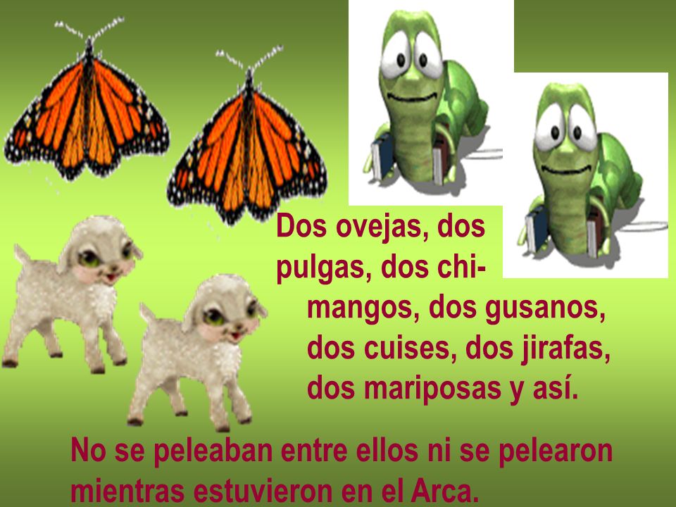 Dos ovejas, dos pulgas, dos chi- mangos, dos gusanos, dos cuises, dos jirafas, dos mariposas y así.