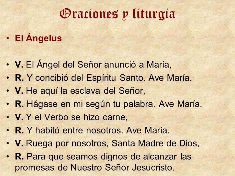 Oraciones y liturgia El Ángelus V. El Ángel del Señor anunció a María,