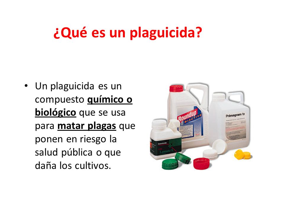 ¿Qué es un plaguicida