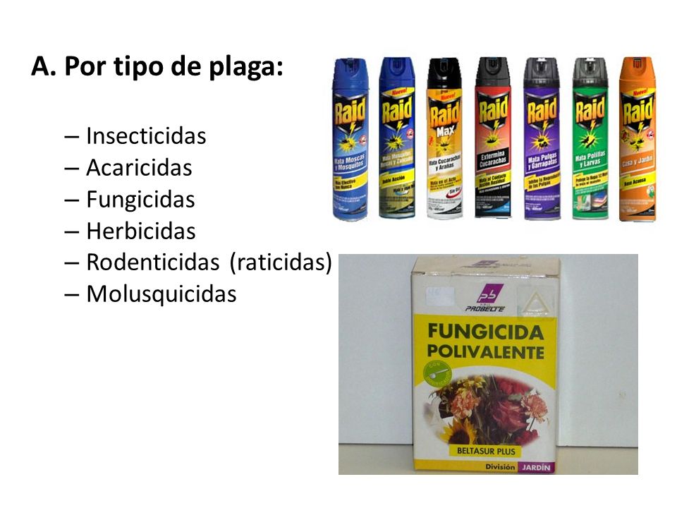 A. Por tipo de plaga: Insecticidas Acaricidas Fungicidas Herbicidas