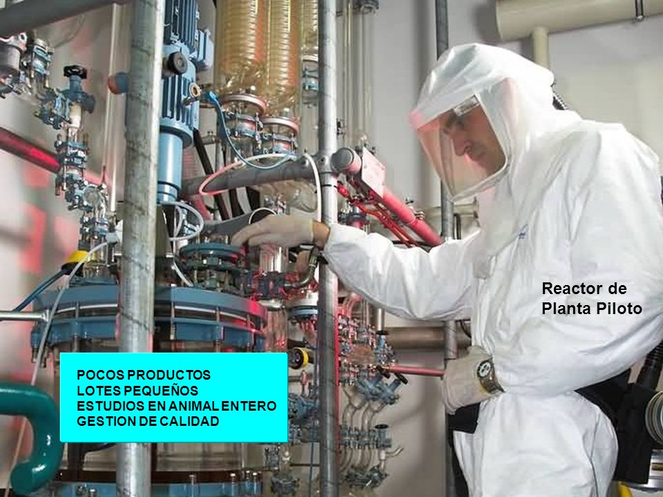 Reactor de Planta Piloto POCOS PRODUCTOS LOTES PEQUEÑOS