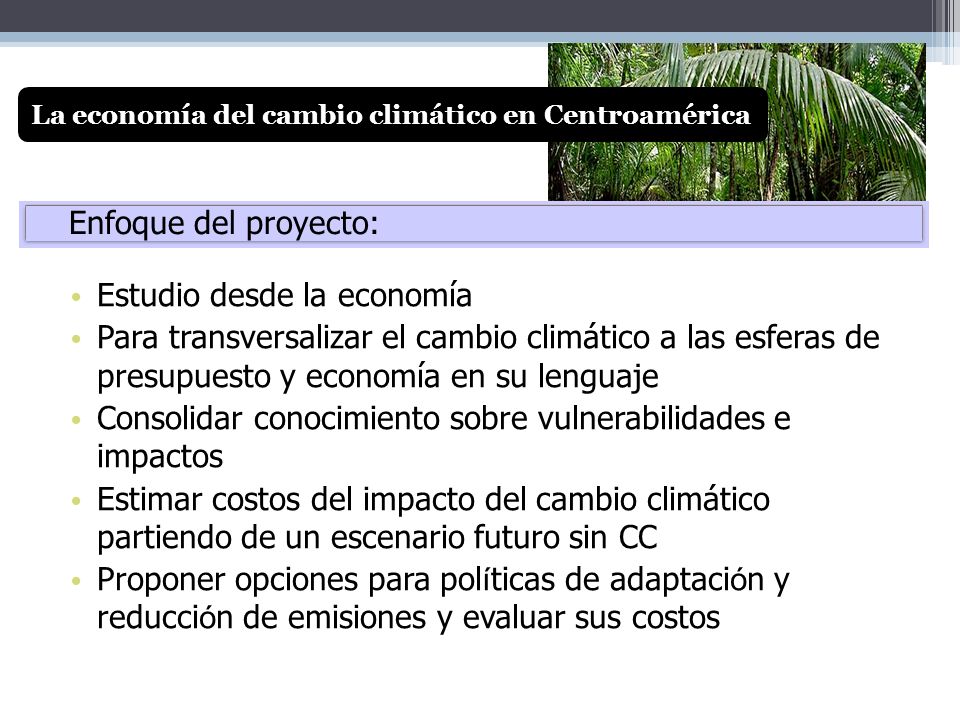 Estudio desde la economía