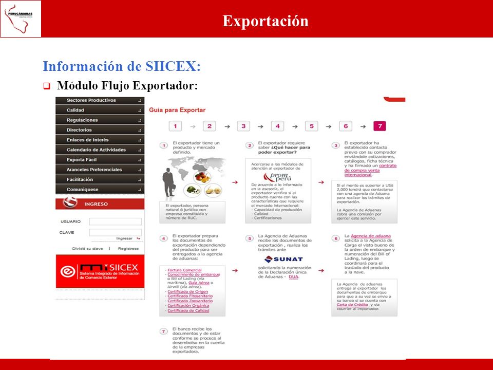 Exportación Información de SIICEX: Módulo Flujo Exportador: