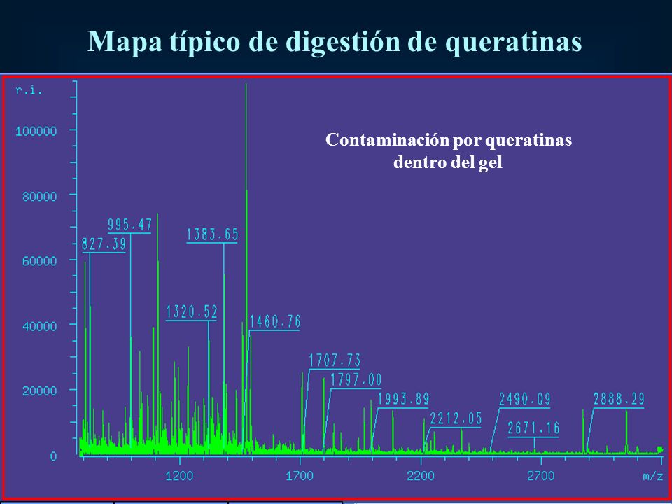 Mapa típico de digestión de queratinas Contaminación por queratinas