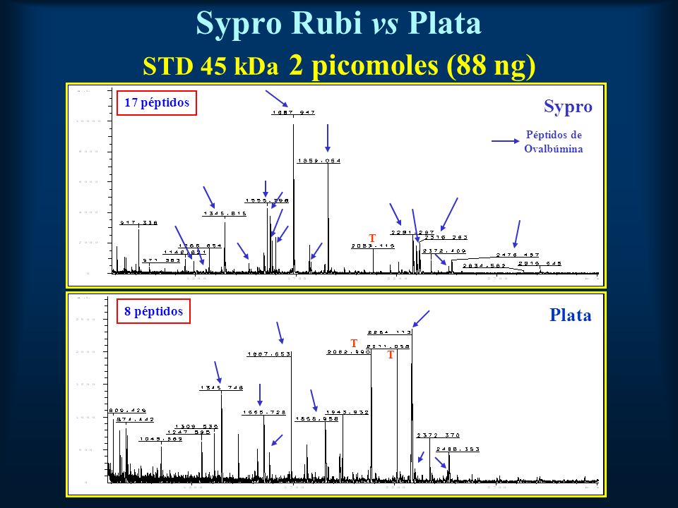 Sypro Rubi vs Plata STD 45 kDa 2 picomoles (88 ng)