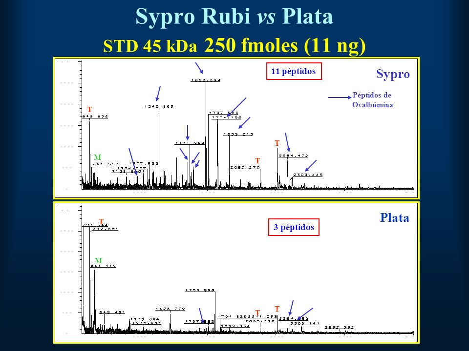 Sypro Rubi vs Plata STD 45 kDa 250 fmoles (11 ng)