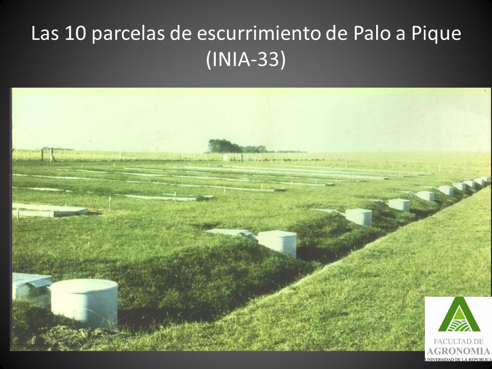 Las 10 parcelas de escurrimiento de Palo a Pique (INIA-33)