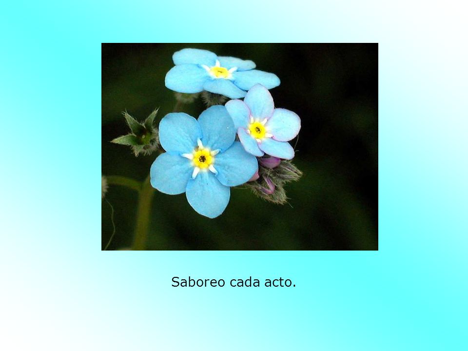 Saboreo cada acto.