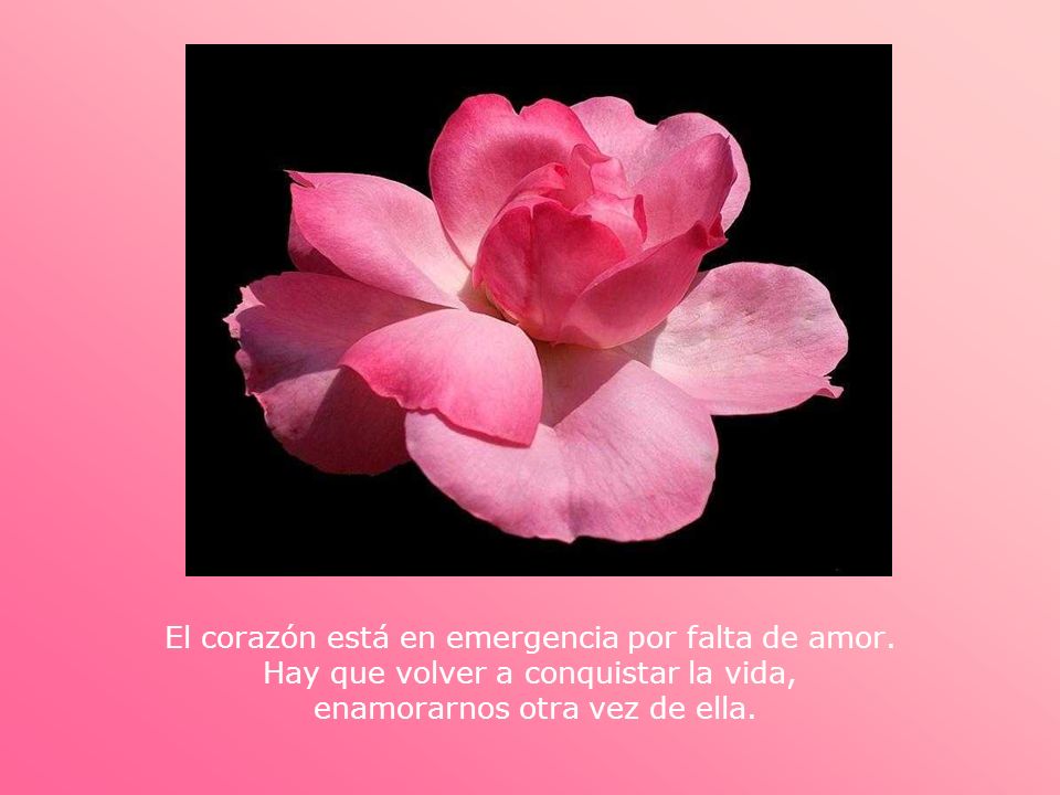 El corazón está en emergencia por falta de amor