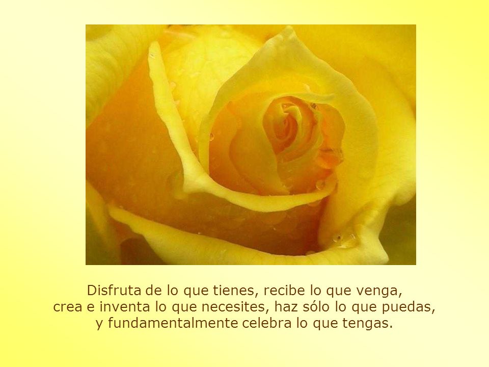 Disfruta de lo que tienes, recibe lo que venga, crea e inventa lo que necesites, haz sólo lo que puedas, y fundamentalmente celebra lo que tengas.