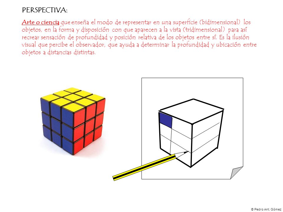 PERSPECTIVA: