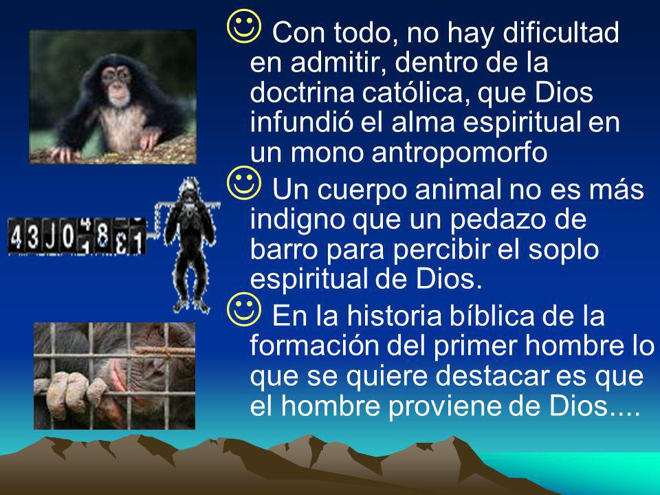 Con todo, no hay dificultad en admitir, dentro de la doctrina católica, que Dios infundió el alma espiritual en un mono antropomorfo