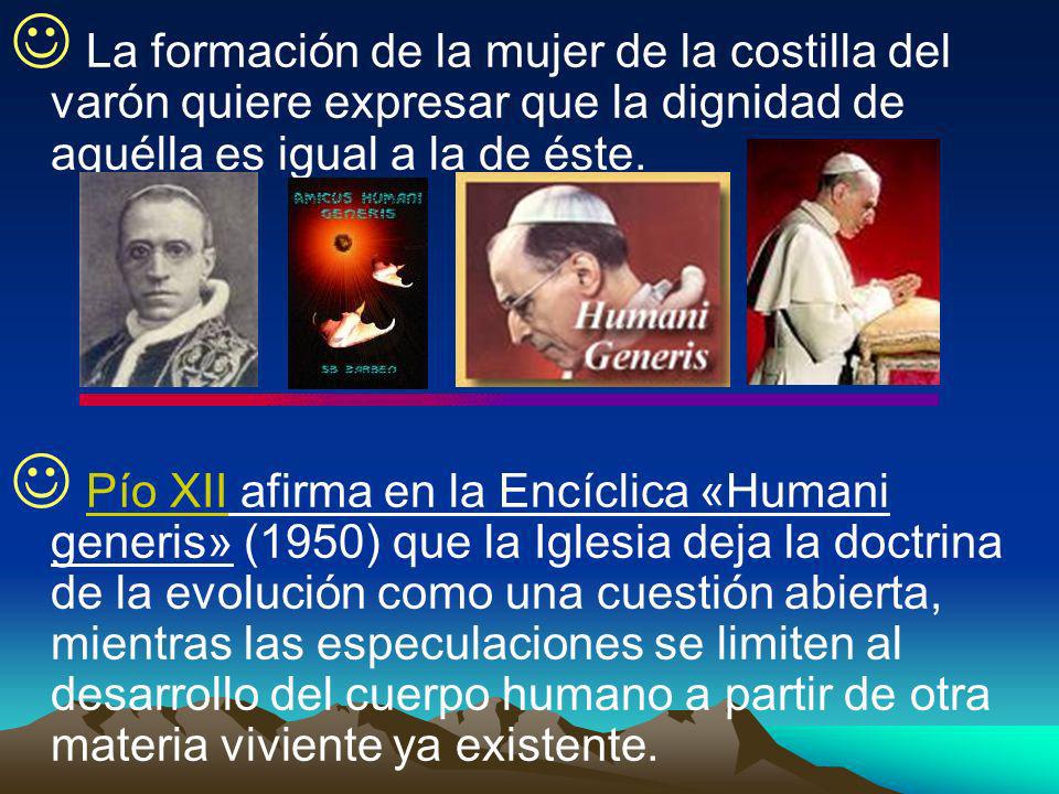 La formación de la mujer de la costilla del varón quiere expresar que la dignidad de aquélla es igual a la de éste.