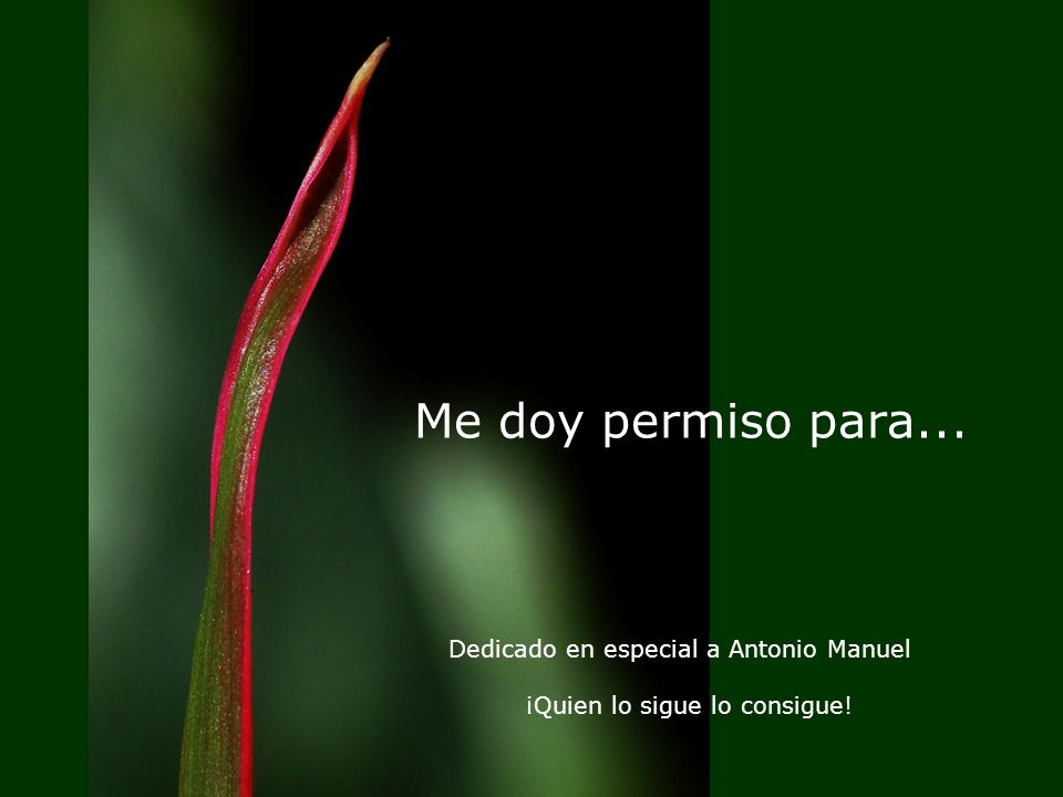 Me doy permiso para... Dedicado en especial a Antonio Manuel