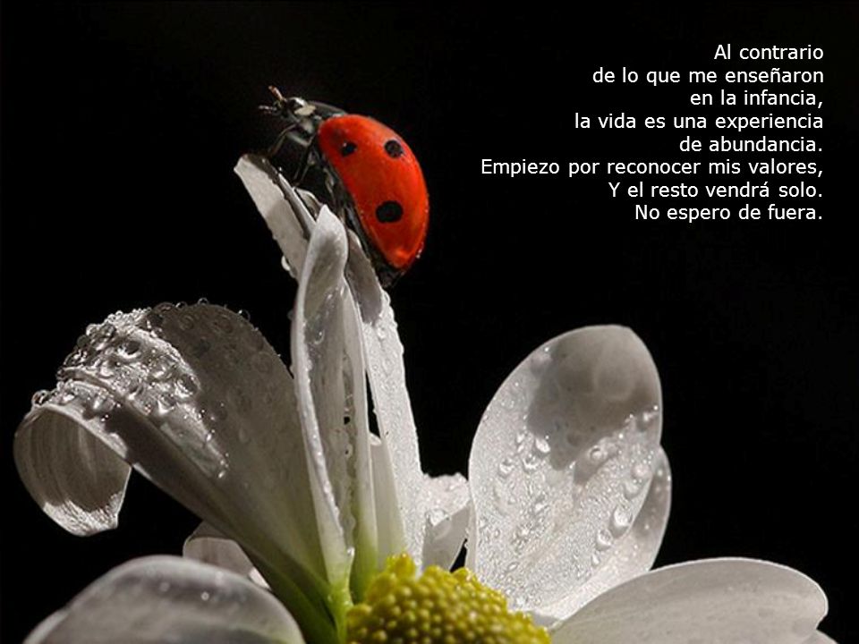 Al contrario de lo que me enseñaron. en la infancia, la vida es una experiencia. de abundancia. Empiezo por reconocer mis valores,