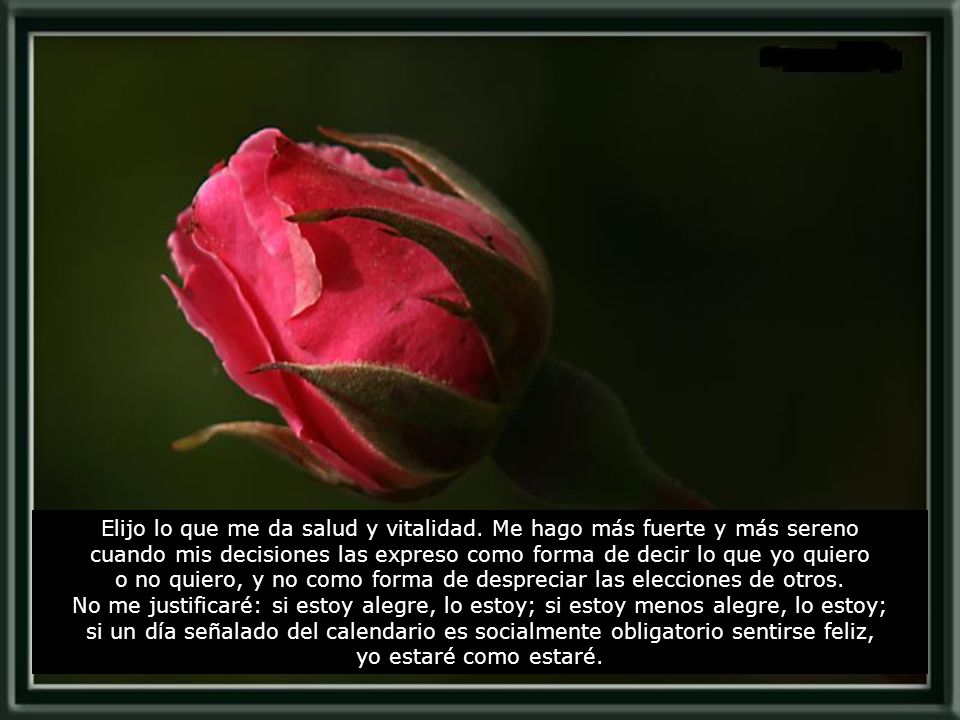 Elijo lo que me da salud y vitalidad. Me hago más fuerte y más sereno